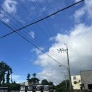 주호목장 이미지