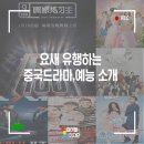 요새 유행하는 중국드라마, 예능 소개!
