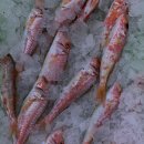 바삭튀김 이미지