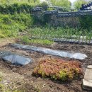 고흥사랑민박 이미지