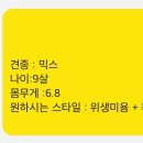 루루펫 이미지