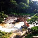 선유동천 나들길 | 2020/ 8/ 12 - 13/ 여름휴가5 : 문경 ( 지가 리조트 상세 후기, 용추 계곡 - 선유동천 나들길, 오전 산책 )