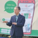 피누스스토어아마란스 이미지