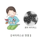 바이러스성 장염(Viral enteritis(Rota)) 소화기질환 이미지