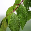 밝은달한의원 이미지