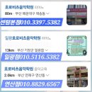 일광호로비츠음악학원