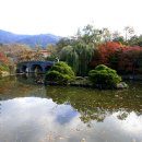 고향풍년 이미지