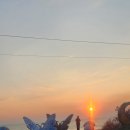 꾸꾸네 친구들 이미지