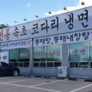 30년전통속초코다리냉면 이미지