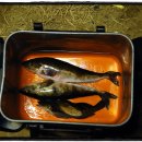 스몰플러스 이미지