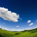 사랑목장2 이미지