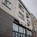 포텐 주짓수 MMA 태권도 | 김포 솔리드짐(장기동,운양동 종합격투기체육관) 운동 후기 feat. KTK이현태선수