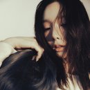 덤덤엔터테인먼트 이미지