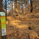 경남 양산군 선안산(仙岩山=710m )~토곡산(土谷山, 855m)=산행=7시간 이미지