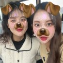 신세계투어 이미지