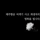 제주항공 여객기 사고 희생자를 추모합니다. 깊은 위로와 애도의 뜻을 표합니다., 이미지