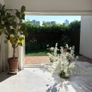 2663 | 제이로그 스튜디오 소품 조화 부케 색상 종류, 센터피스, 케익 모형 웨딩촬영 후기