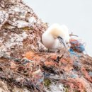 러쉬(LUSH) 이미지