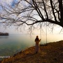 나린농장 이미지