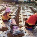 거창문화원 상살미홀 이미지