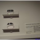 훈민정음인쇄 이미지