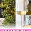 신반포로 311 이미지