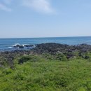 태신해안로 이미지