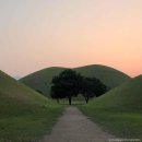 뛰는 순간 여행이 된다! 요즘 뜨는 여행법, 런트립 이미지