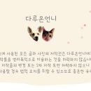 최씨고집한의원 이미지