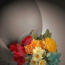 광명부부한의원 이미지