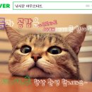 누나네솥뚜껑삼겹살 이미지