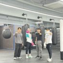 케이오복싱 이미지