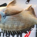 남해-318 이미지