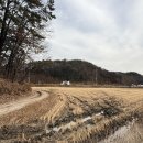 여주-1078 이미지