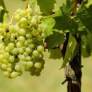 삼마농장 이미지