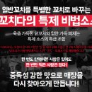 더 꼬치다 이미지