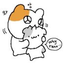 칼리프(CALIF) 네이버블로그