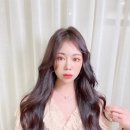 살롱포레스트 세호