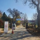 원당목장 | 원당종마목장 렛츠런팜 후기