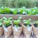 해누리어린이집 이미지