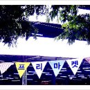 마켓창창