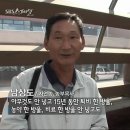 [썩지않는 사과]기무라씨 사과이야기 "SBS스페셜" 이미지