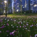 권익&출입국 행정사사무소 이미지