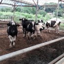 역골농장 이미지