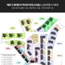해안초 이미지