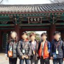 나무기러기의전통음식 이미지