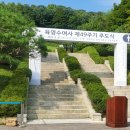 8월 15일 육영수 여사의 제49주기 추도식 및 개교 50주년 기념 행사 이미지