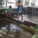 황토마당 이미지