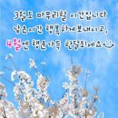 양푼이 이미지