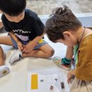 디그라운드 이미지